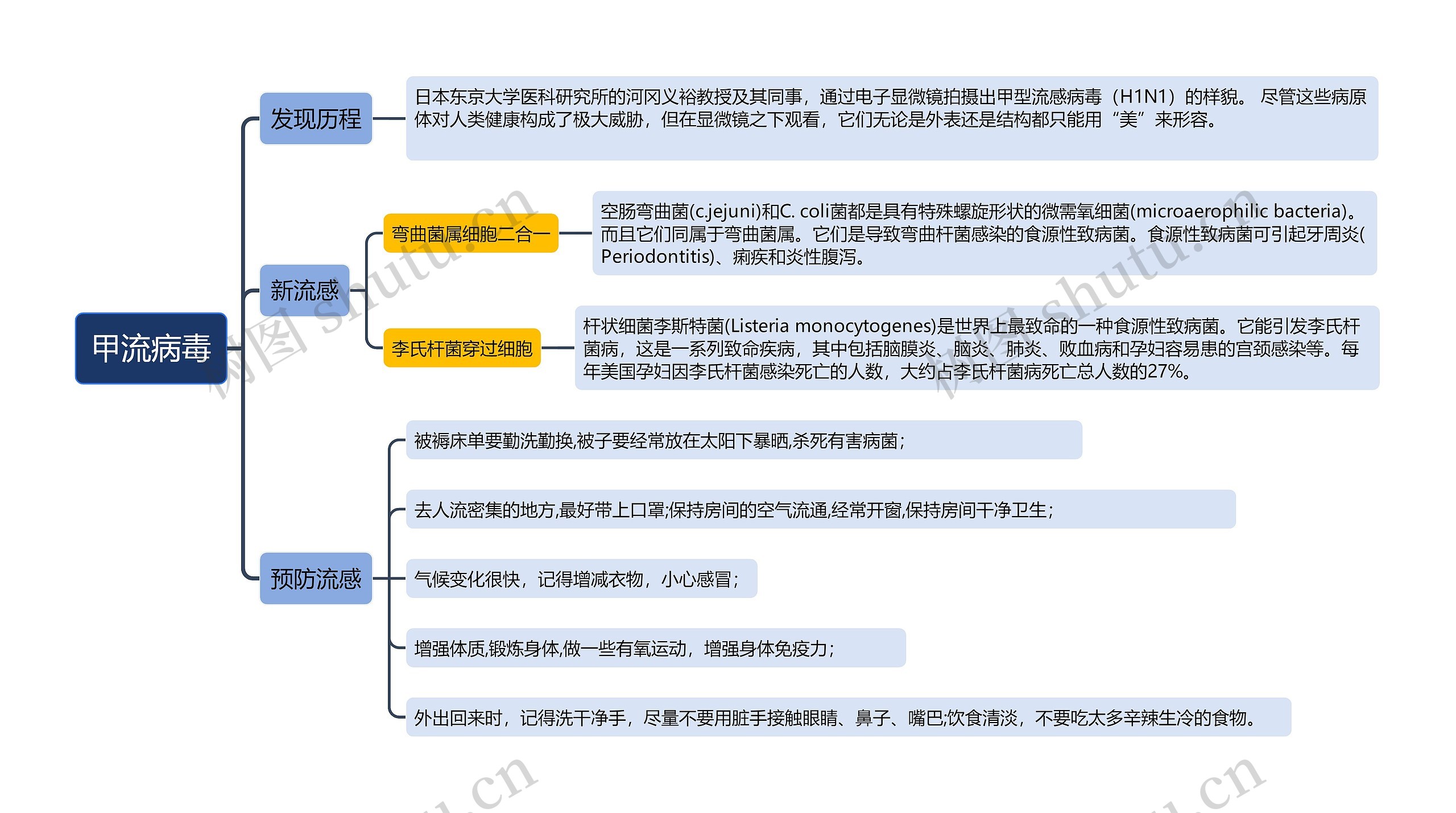 甲流病毒思维导图