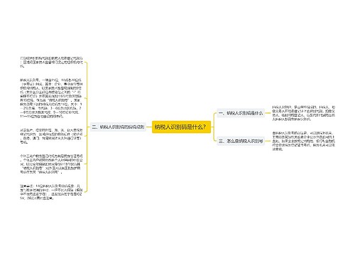 纳税人识别码是什么？