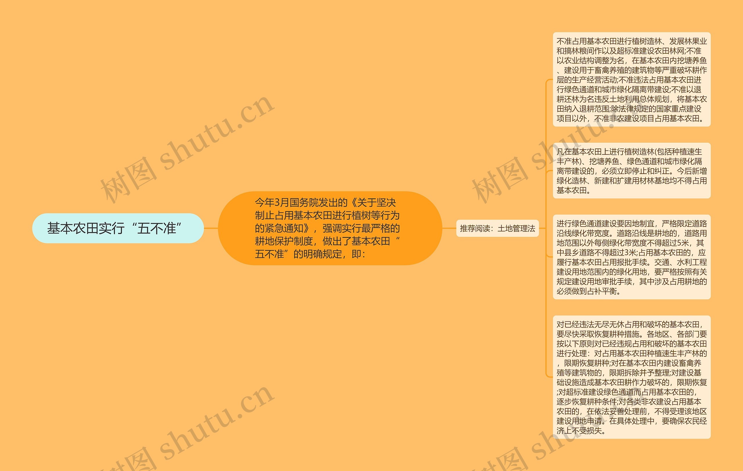 基本农田实行“五不准”思维导图