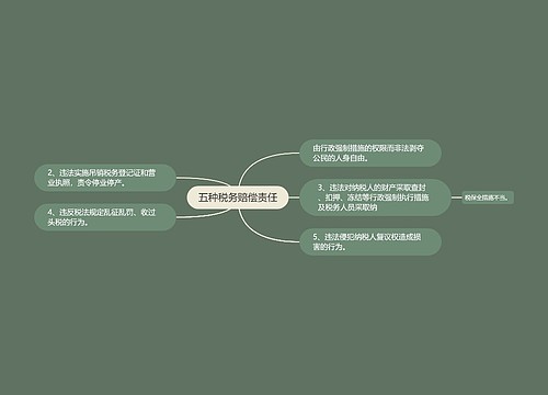 五种税务赔偿责任