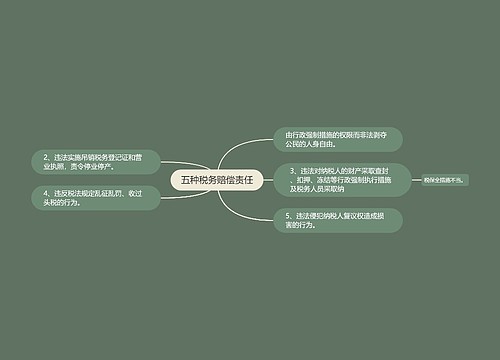 五种税务赔偿责任