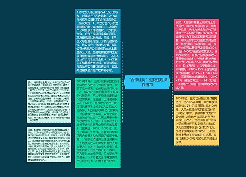 “合作建房”避税违规操作遭罚