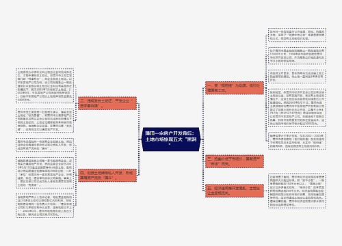 蒲田一宗房产开发背后：土地市场惊现五大“黑洞”