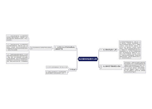 私分国有资金是什么罪