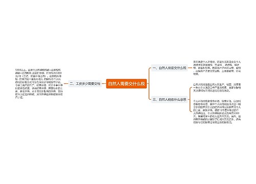 自然人需要交什么税