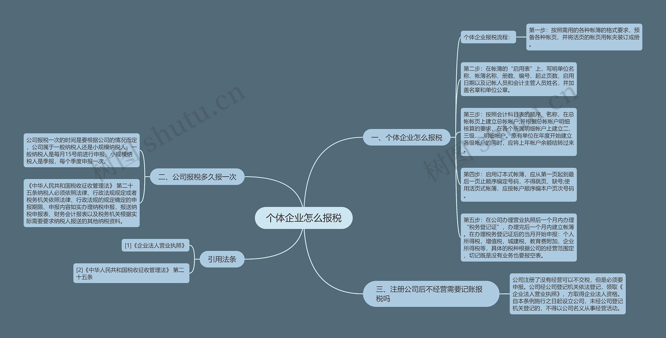 个体企业怎么报税