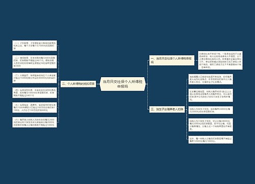 当月只交社保个人所得税申报吗