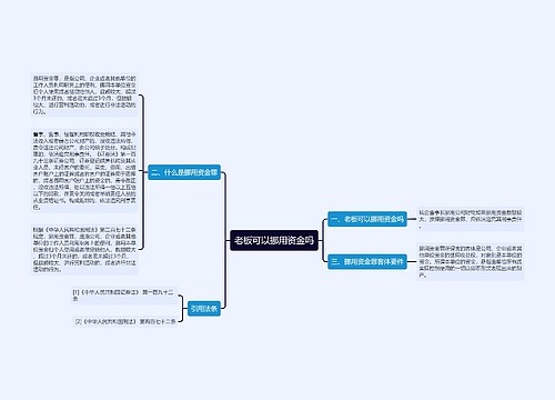 老板可以挪用资金吗