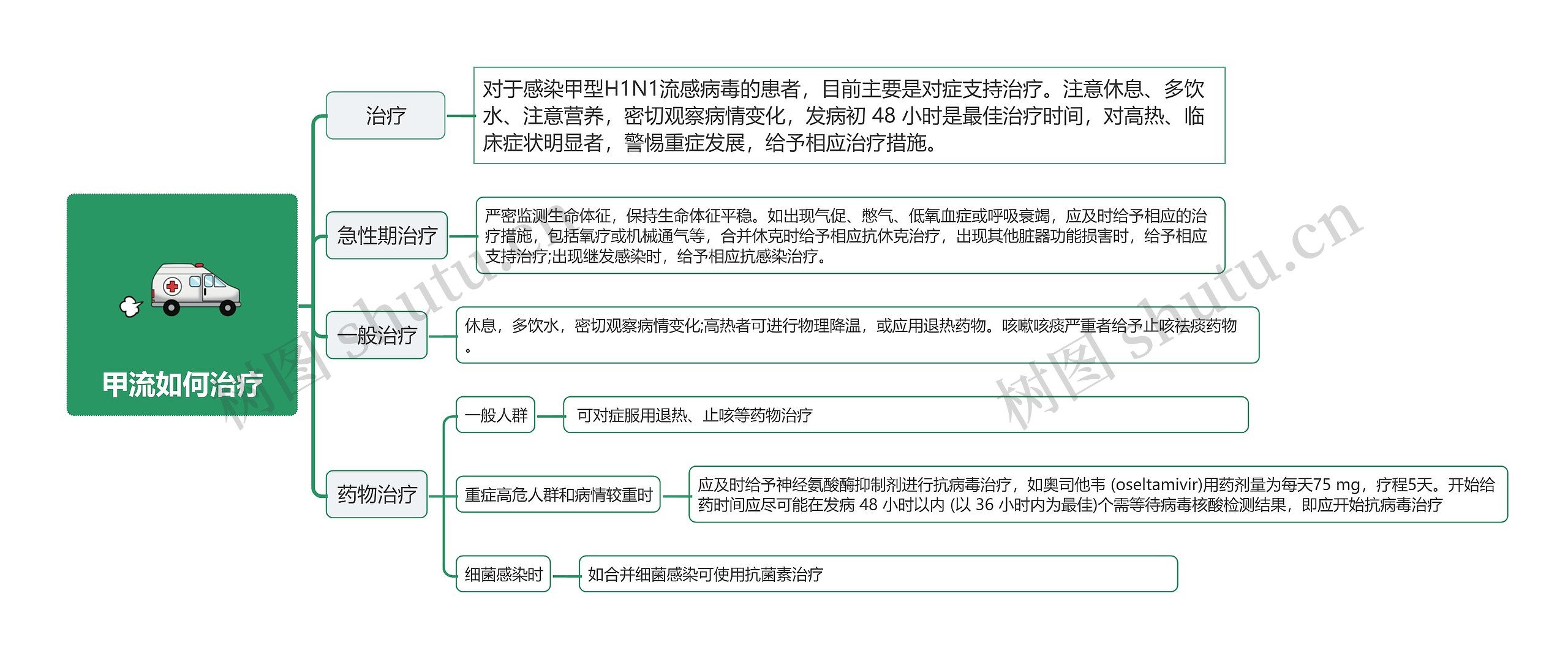 甲流如何治疗思维导图