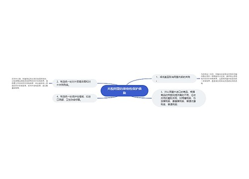 关税同盟的排他性保护措施