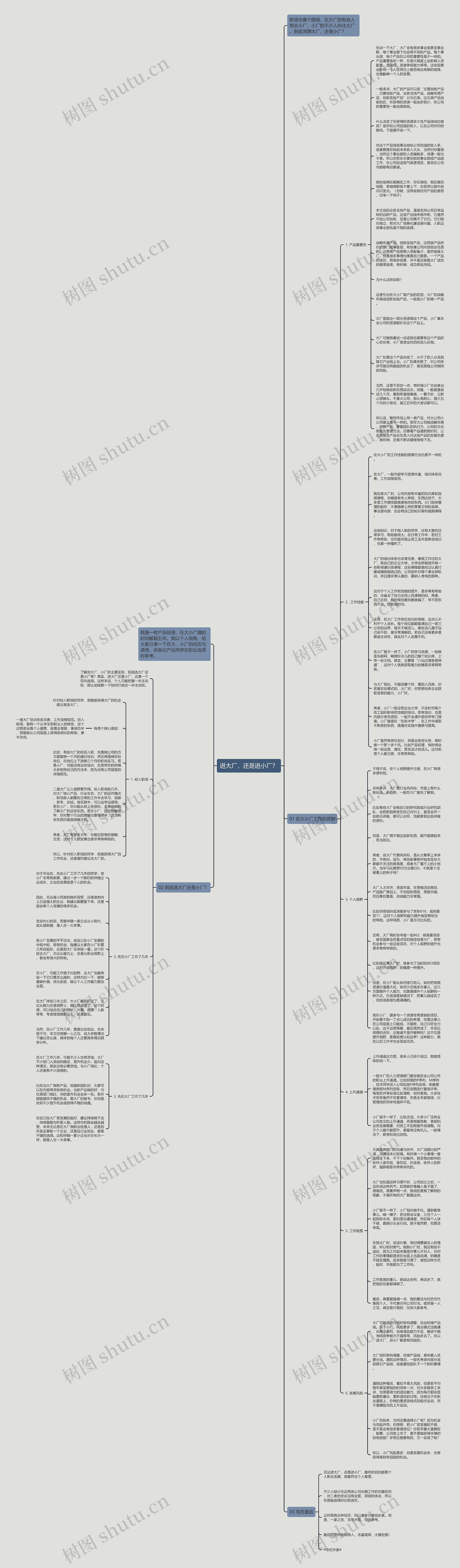 进大厂，还是进小厂？思维导图