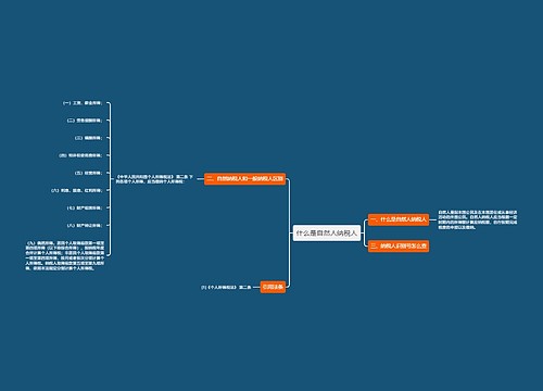 什么是自然人纳税人