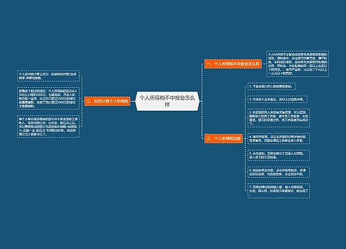 个人所得税不申报会怎么样