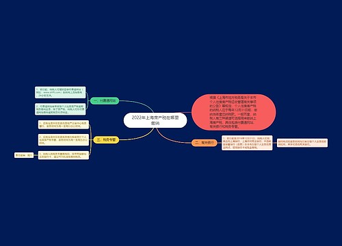 2022年上海房产税在哪里缴纳