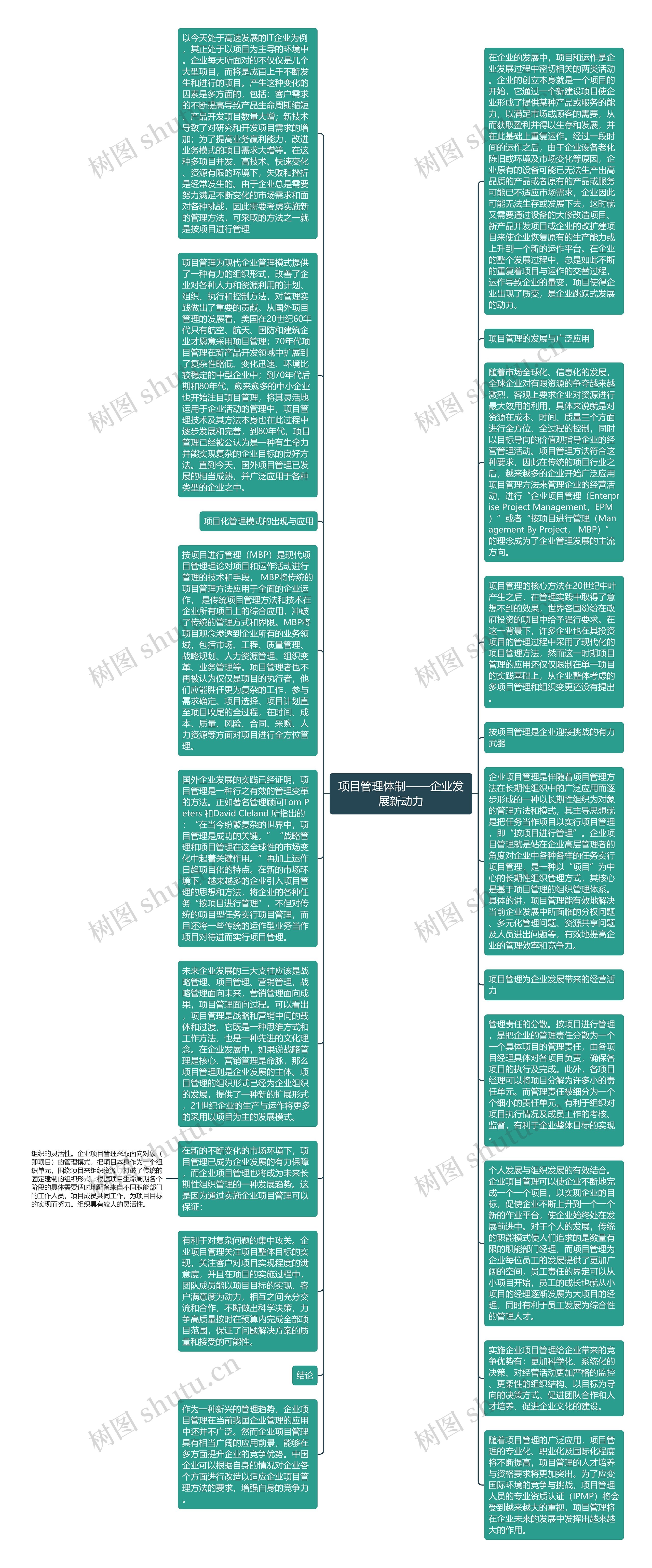 项目管理体制——企业发展新动力