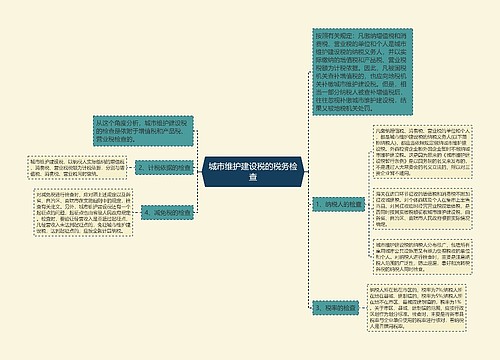 城市维护建设税的税务检查