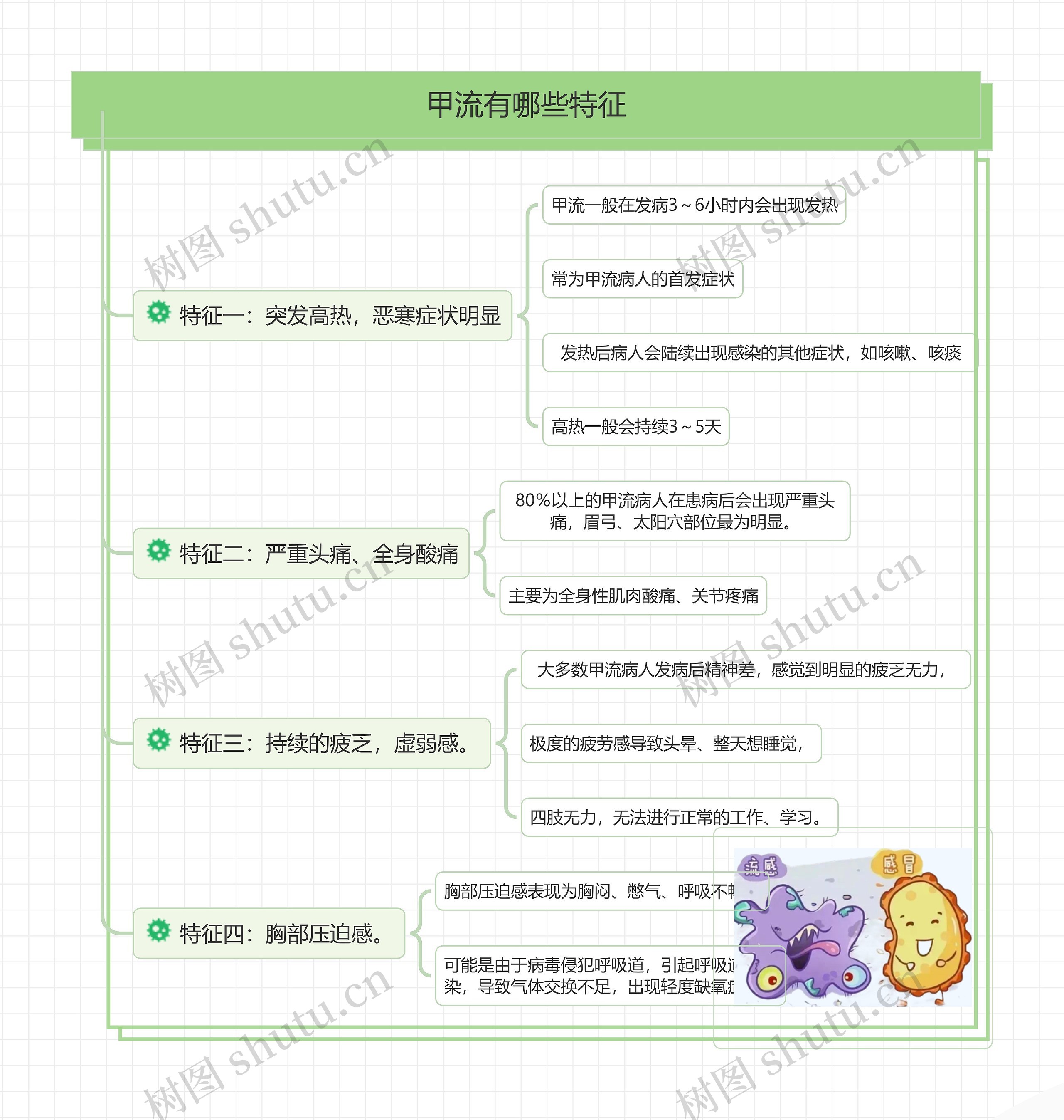 甲流有哪些特征思维导图