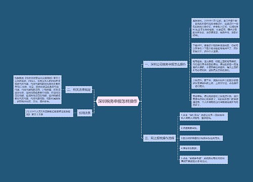 深圳税务申报怎样操作