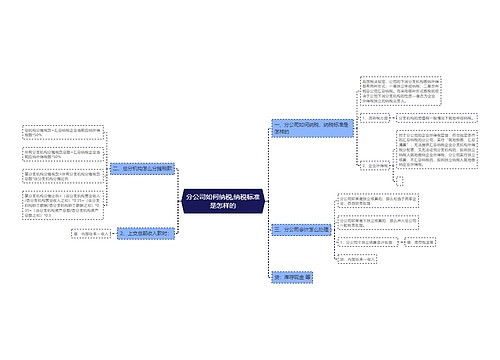 分公司如何纳税,纳税标准是怎样的