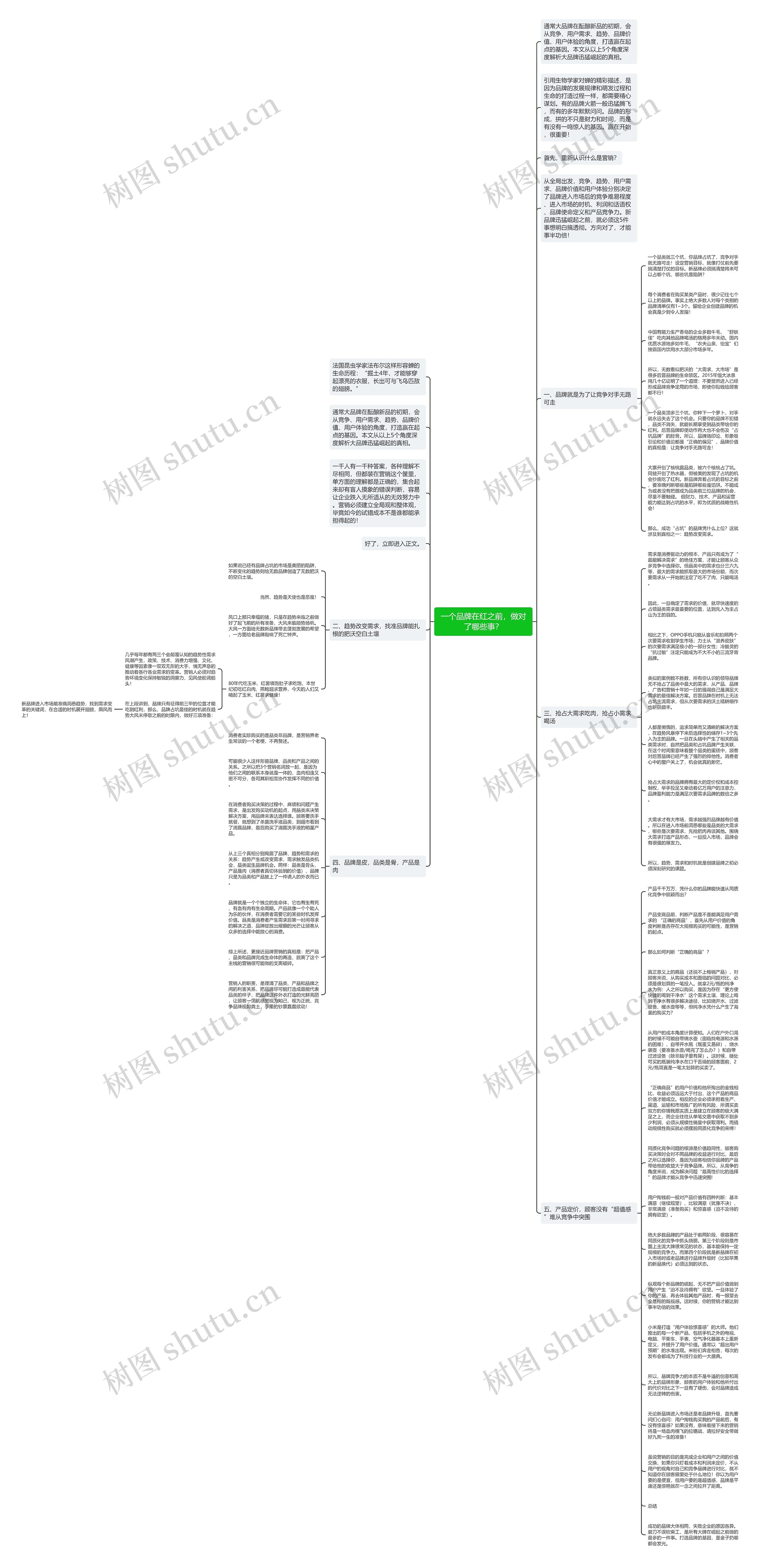 一个品牌在红之前，做对了哪些事？思维导图