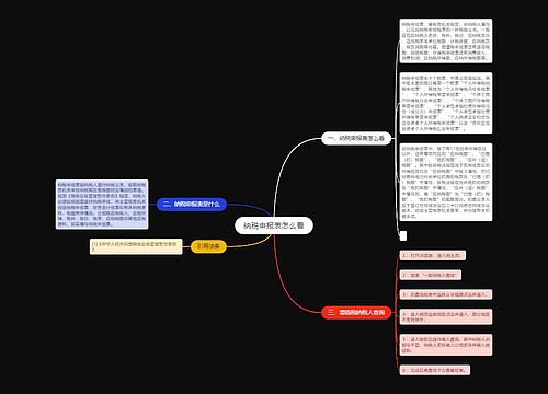 纳税申报表怎么看