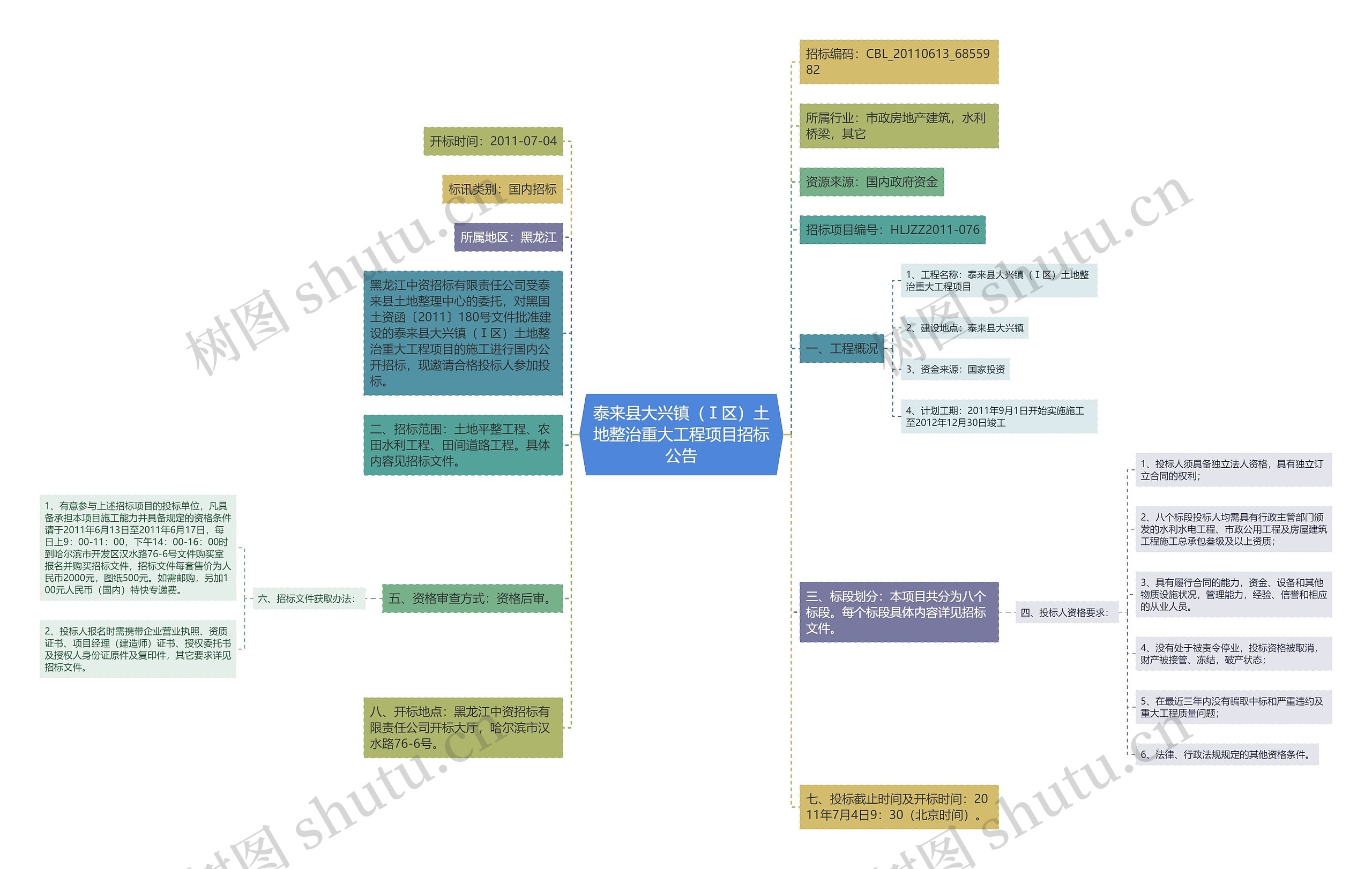 泰来县大兴镇（Ⅰ区）土地整治重大工程项目招标公告思维导图