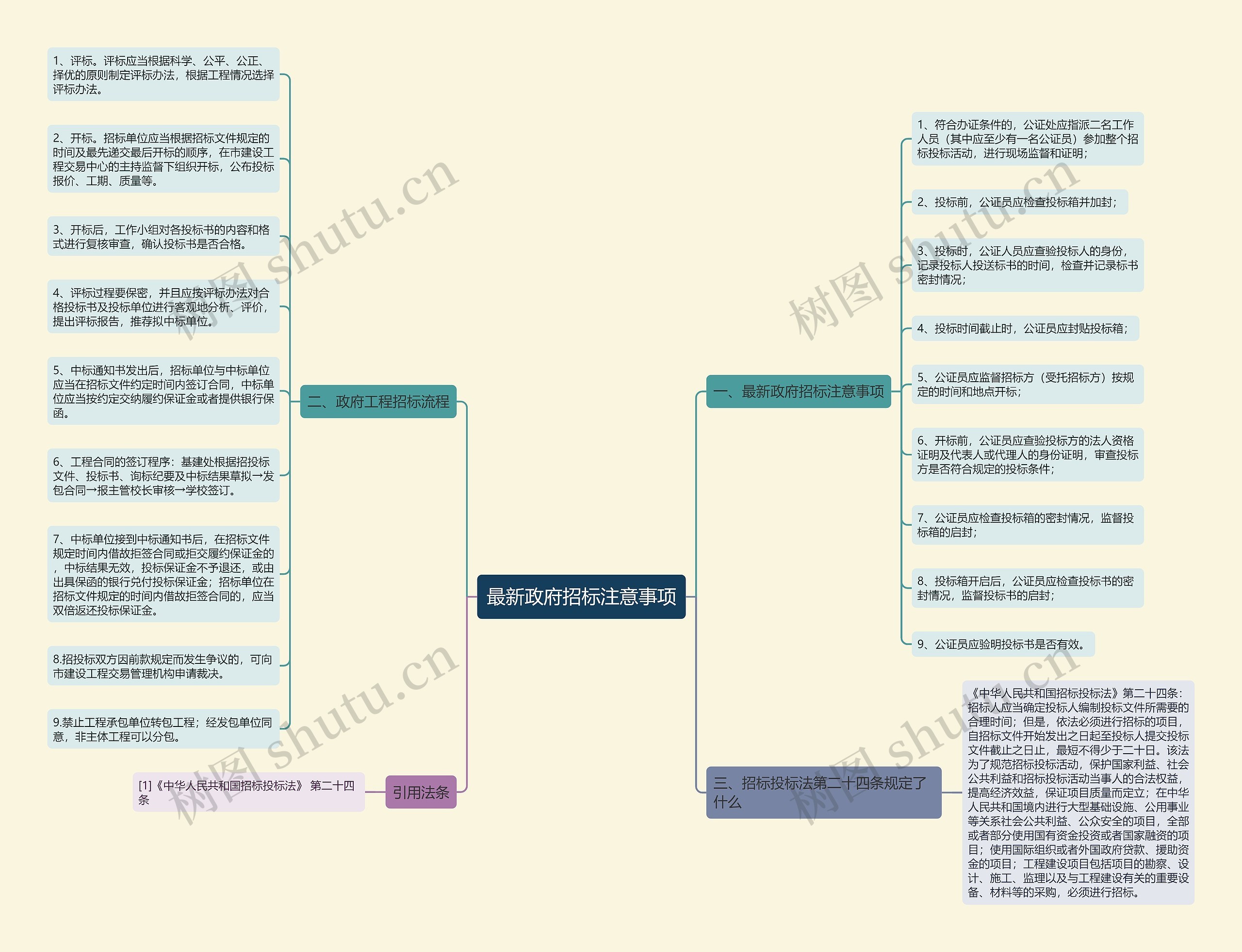 最新政府招标注意事项思维导图