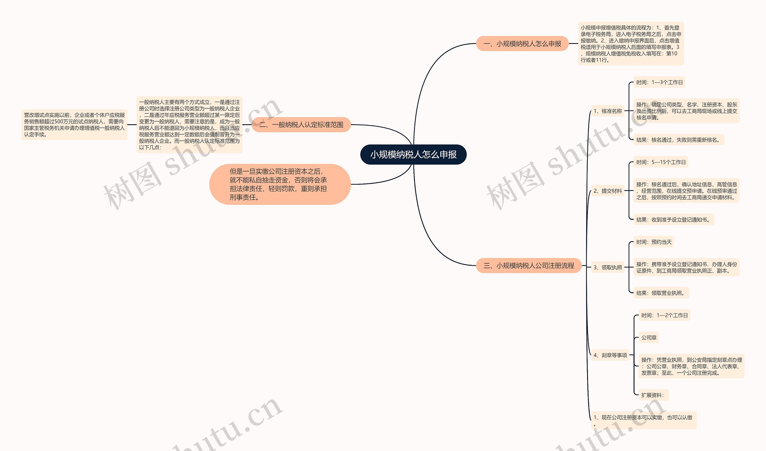 小规模纳税人怎么申报