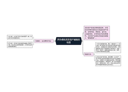 开办费和无形资产摊销的检查