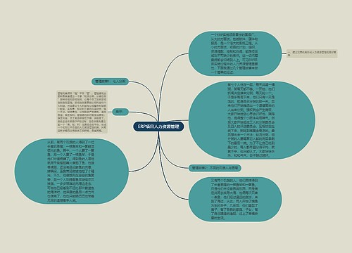 ERP项目人力资源管理