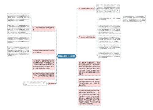 国税未报有什么处罚