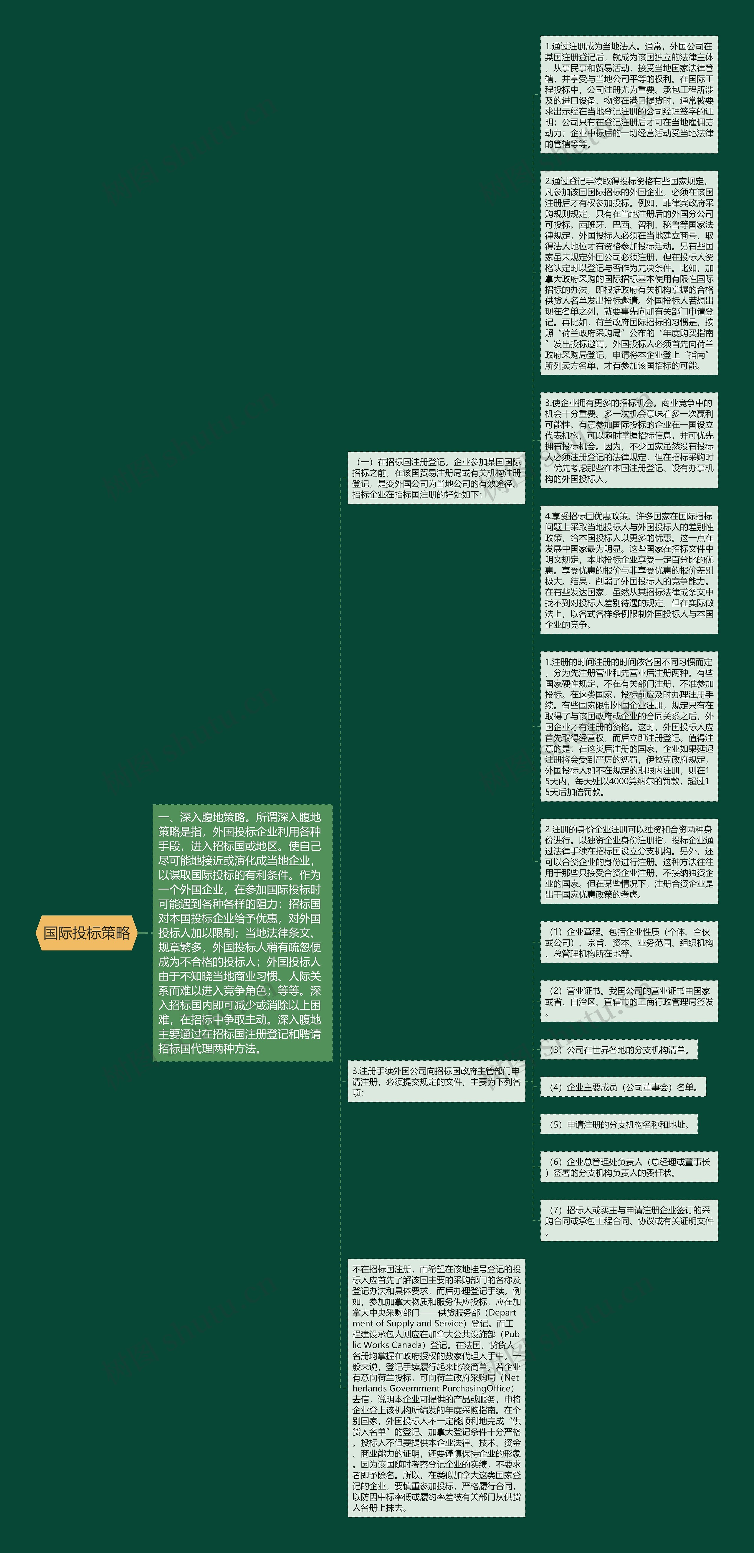 国际投标策略