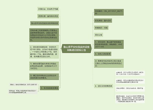 鲁山县平安校园监控设备采购项目招标公告