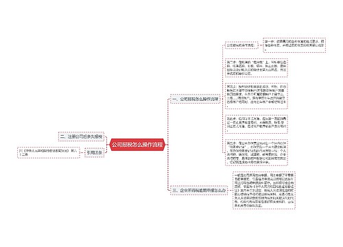 公司报税怎么操作流程