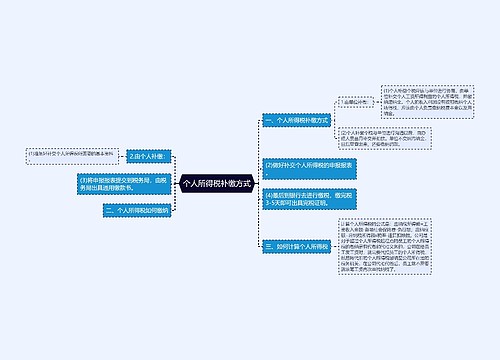 个人所得税补缴方式
