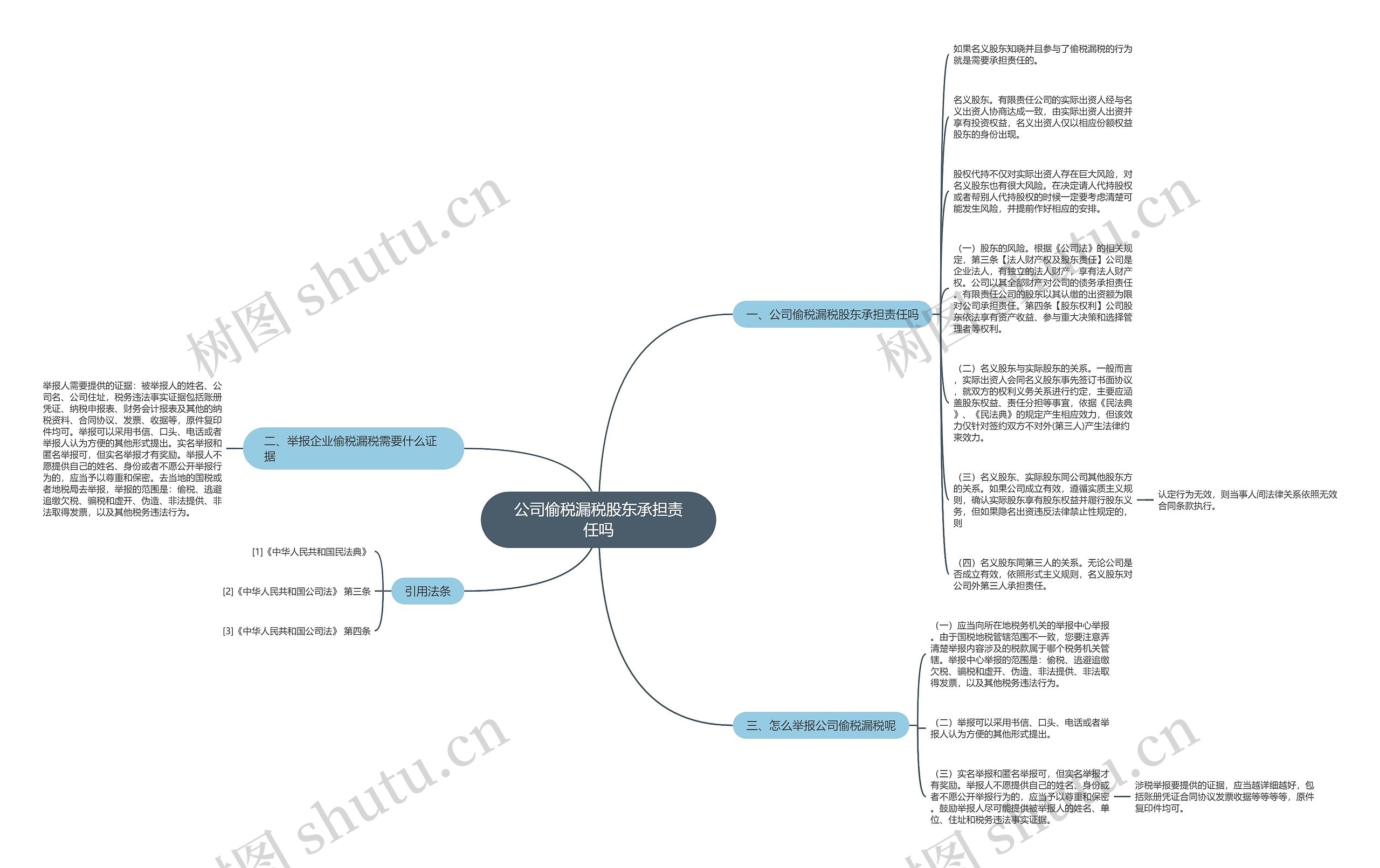 公司偷税漏税股东承担责任吗思维导图