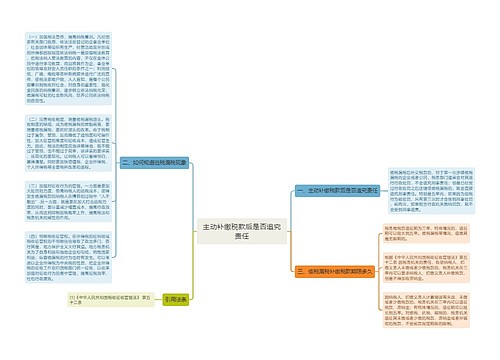 主动补缴税款后是否追究责任