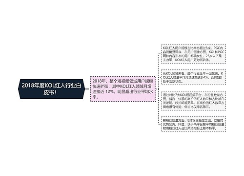 2018年度KOL红人行业白皮书！