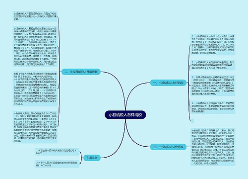 小额纳税人怎样纳税