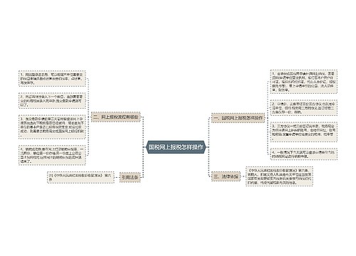 国税网上报税怎样操作