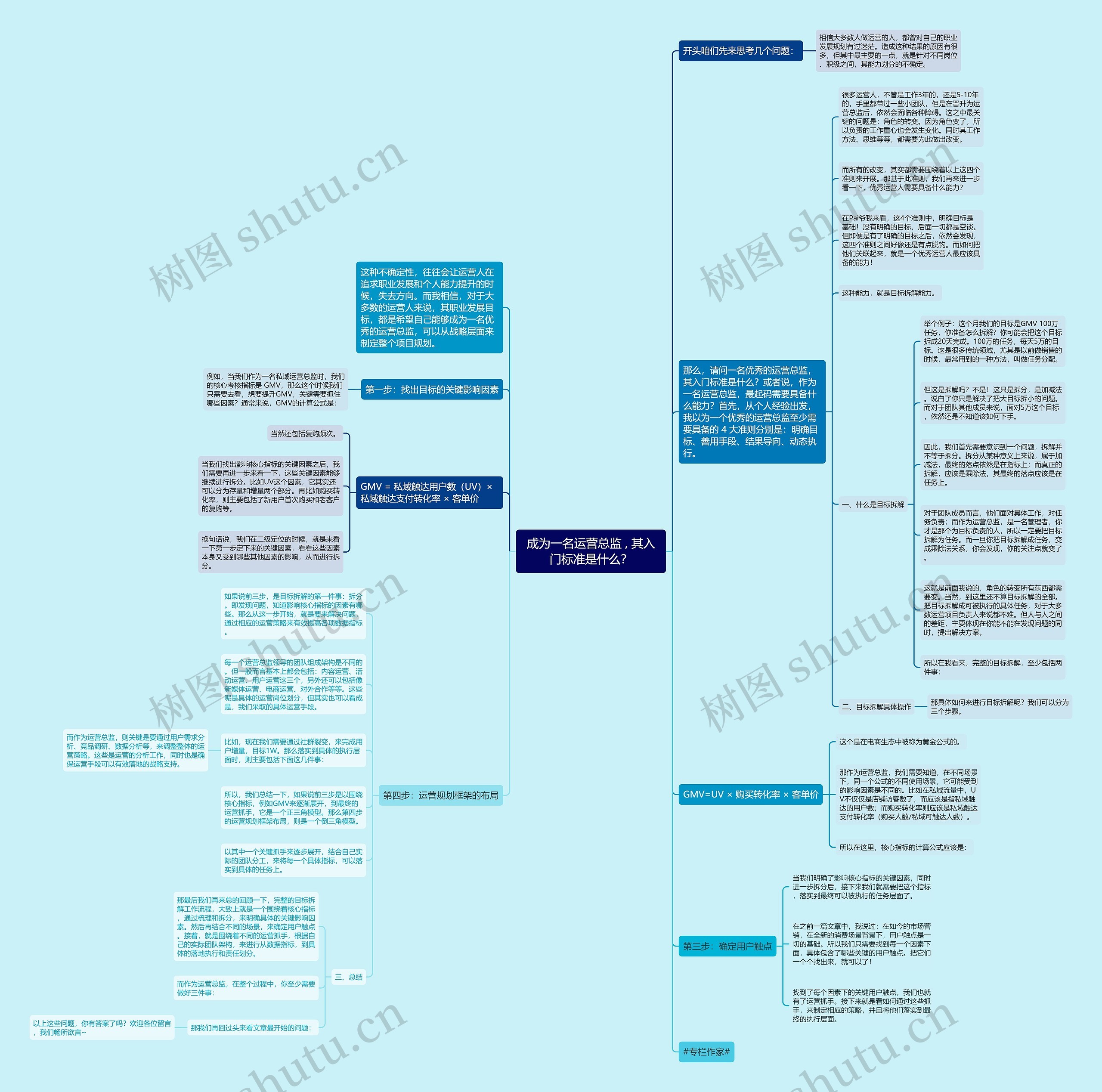 成为一名运营总监 , 其入门标准是什么？思维导图