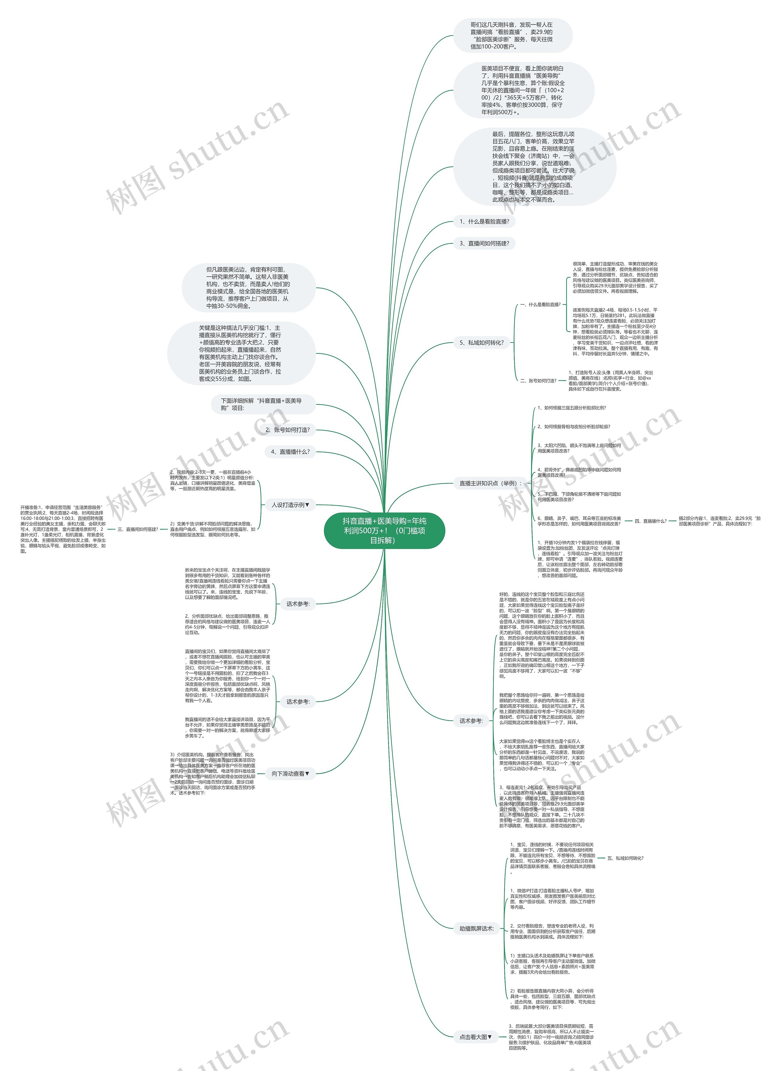 抖音直播+医美导购=年纯利润500万+！（0门槛项目拆解）思维导图
