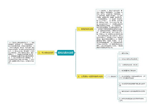 报税的具体流程