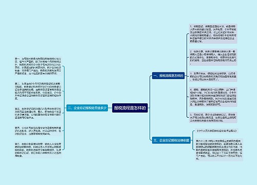 报税流程是怎样的