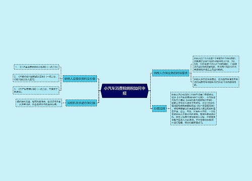 小汽车消费税纳税如何申报