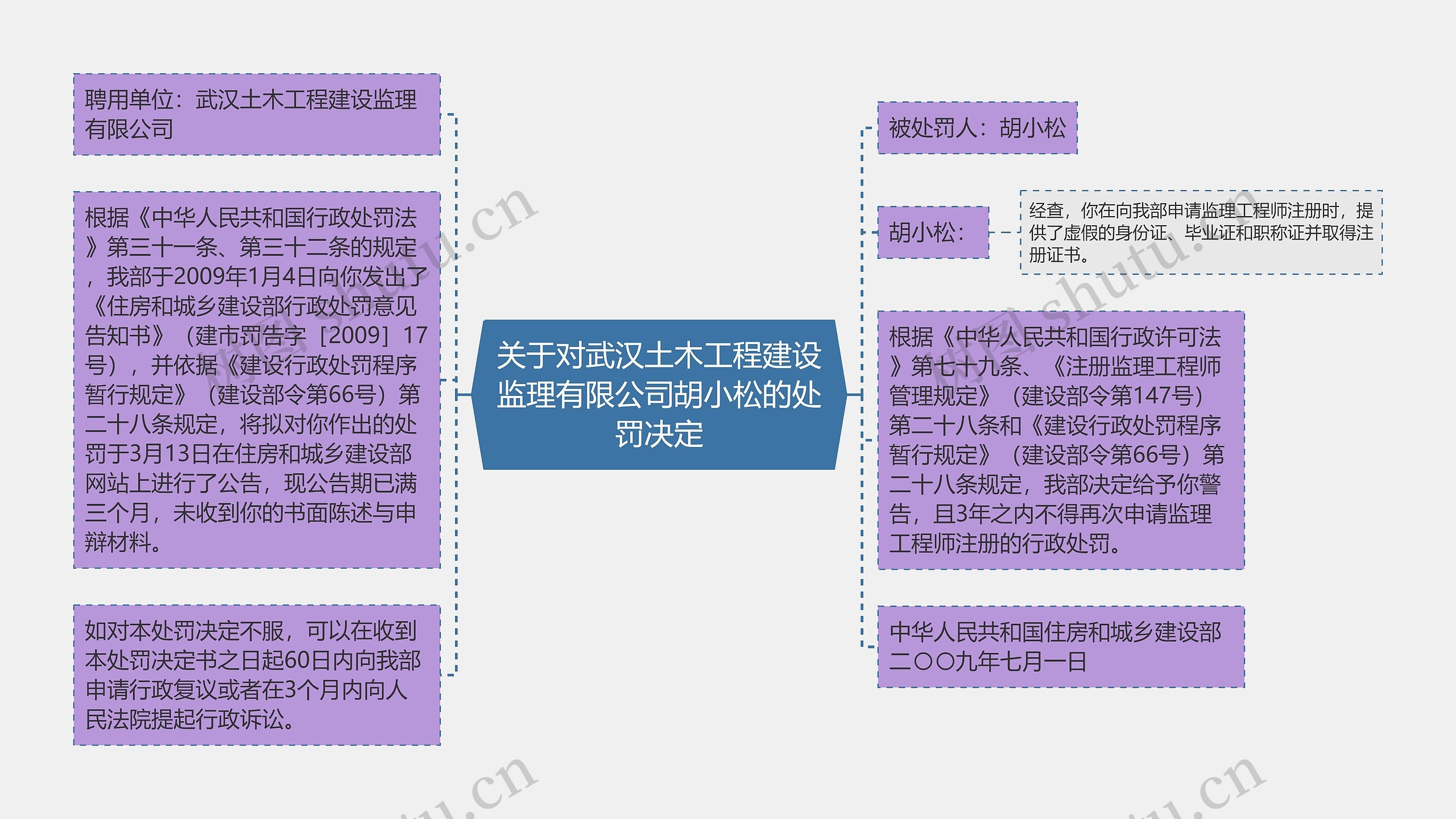 关于对武汉土木工程建设监理有限公司胡小松的处罚决定思维导图
