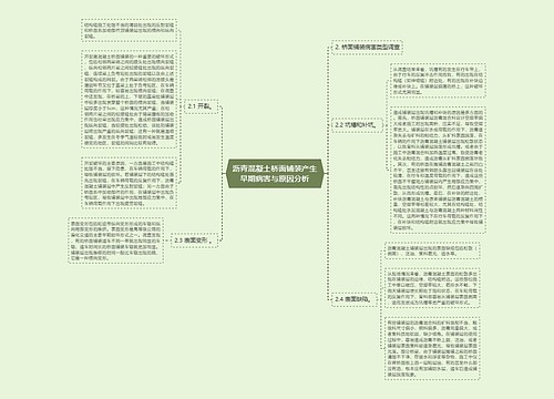 沥青混凝土桥面铺装产生早期病害与原因分析