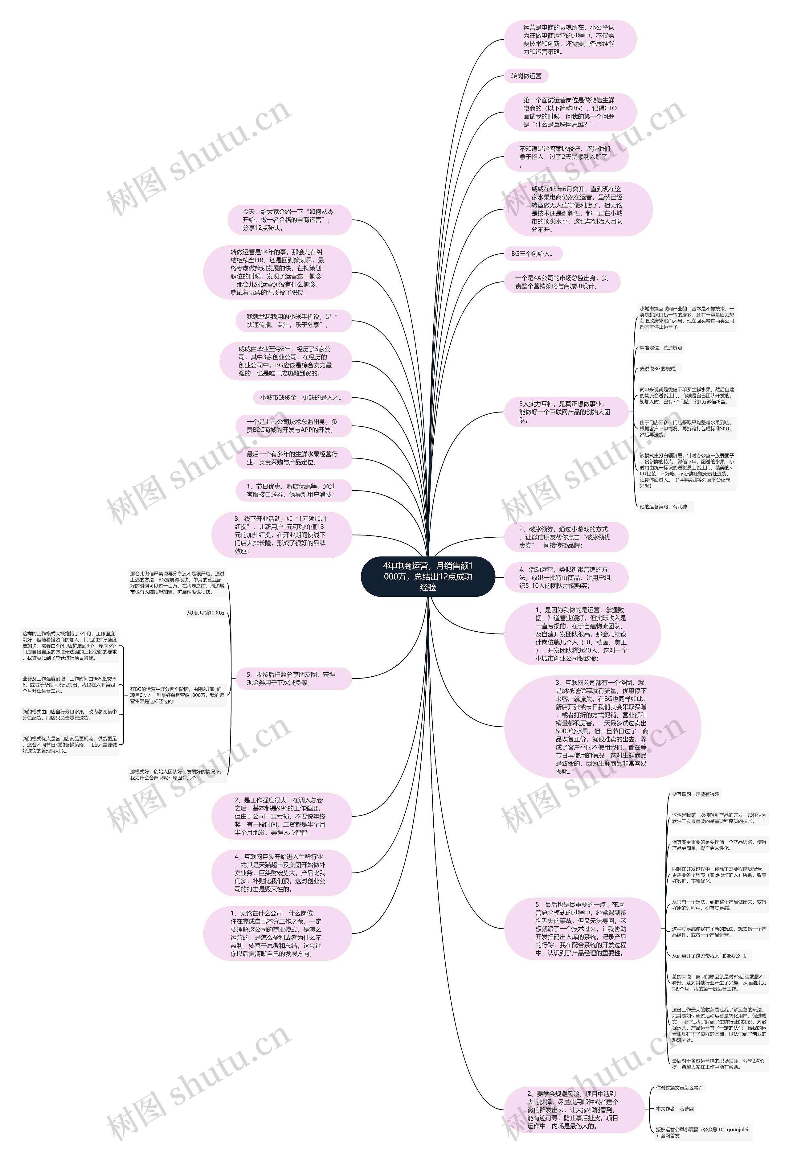 4年电商运营，月销售额1000万，总结出12点成功经验思维导图