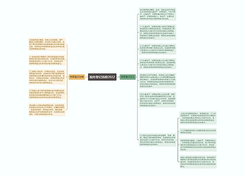 税务登记流程2022