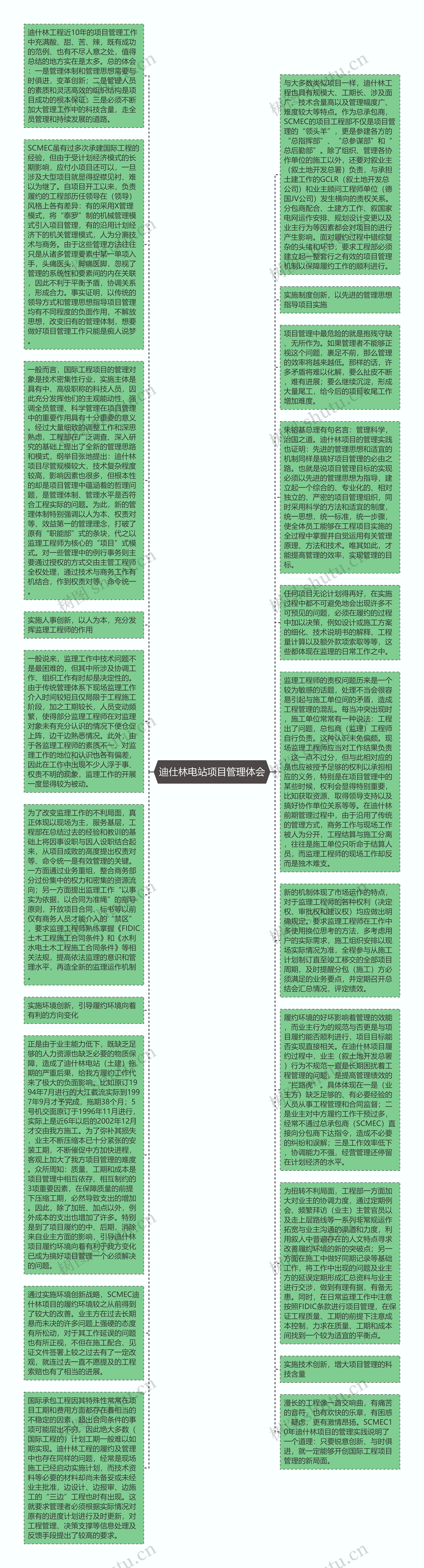 迪仕林电站项目管理体会